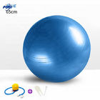 Oem Color Home Gym Latihan 55cm 22inch Yoga Balance Ball bola gym untuk latihan