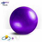 Oem Color Home Gym Latihan 55cm 22inch Yoga Balance Ball bola gym untuk latihan