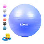 Logo Disesuaikan Latihan Anti Ledakan Bola Yoga, Bola Senam Ritmik