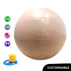 Pvc Explosion Proof Fitness 45 cm 17.7 inch Yoga Ball Dengan Pompa Udara Latihan Bola Peralatan Latihan Bola Yoga