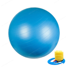 55cm 65cm 75cm PVC Custom Latihan Gym Yoga Ball Dengan Pompa Udara