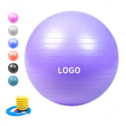 Anti Burst Pvc 55cm 21.7 inch Latihan Yoga Ball Dengan Pompa tangan atau pompa kaki