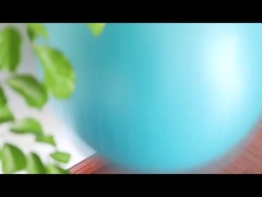 Pvc Explosion Proof Fitness 45cm Bola Yoga Dengan Pompa Udara Bola Latihan Peralatan Latihan Bola Yoga